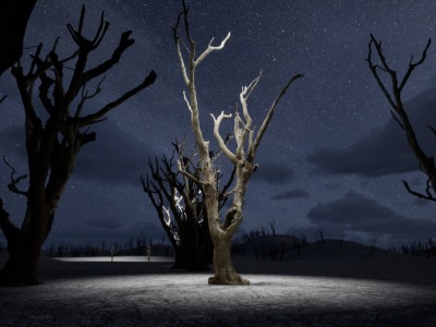 foto miniatura evento