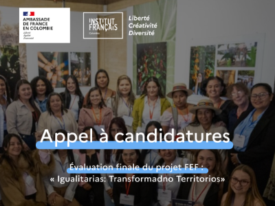 ONU Mujeres: Evaluación de los proyectos implementados en el marco de la convocatoria “Igualitarias"